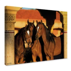 Edition Boiselle - Arabic Horse Canvas Print