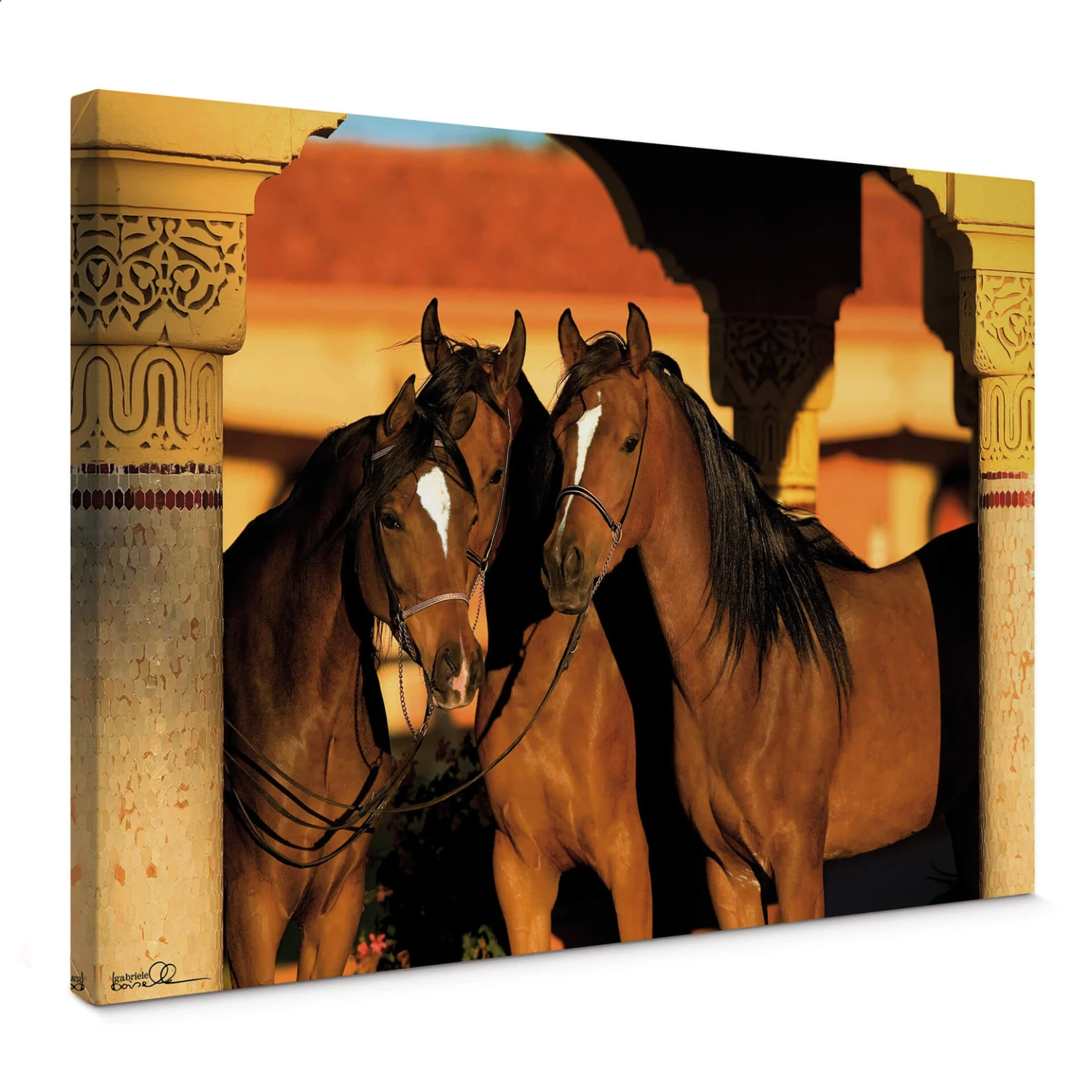 Edition Boiselle - Arabic Horse Canvas Print