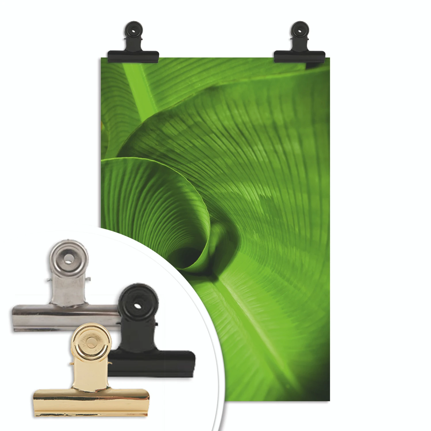 Poster banana Leaf - Image 2