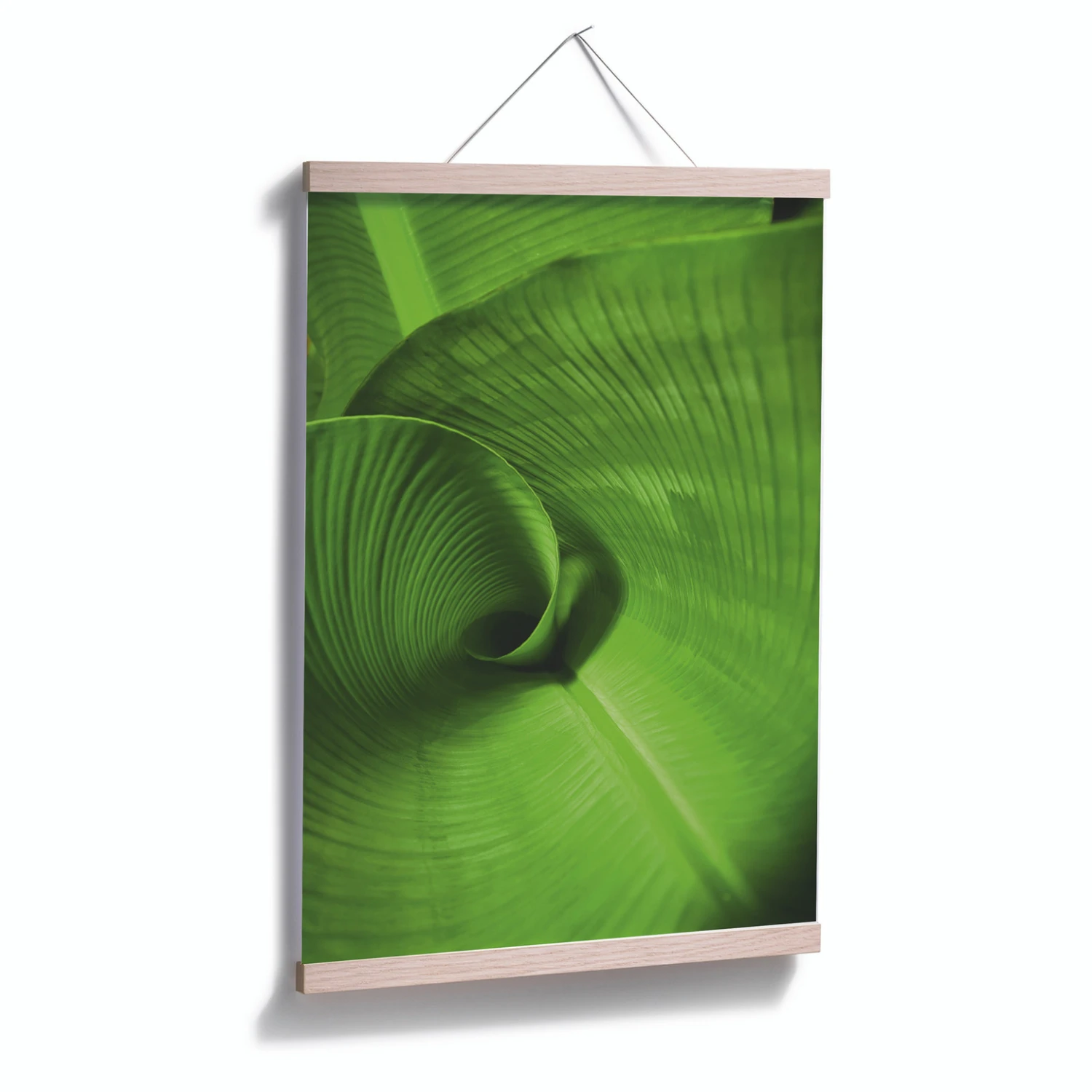 Poster banana Leaf - Image 3