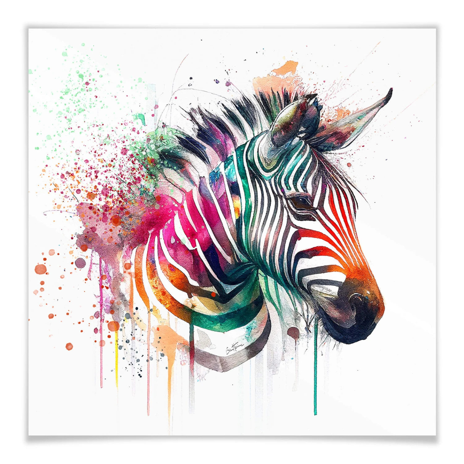 Poster Heine - Rainbow Zebra - Image 3