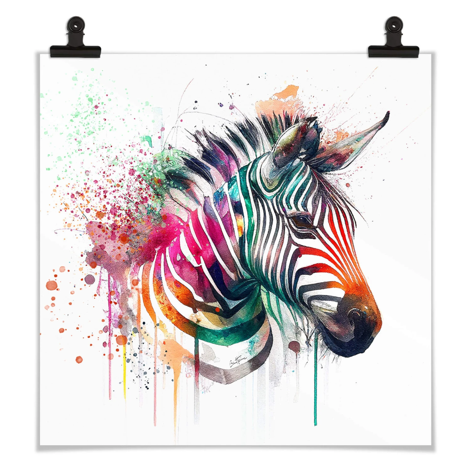 Poster Heine - Rainbow Zebra - Image 5