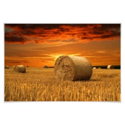 Poster Straw Bales