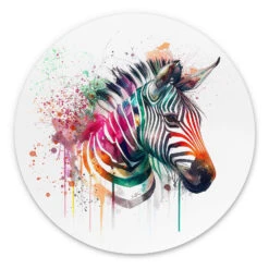 Alu-Dibond Wall Circle Heine - Rainbow Zebra