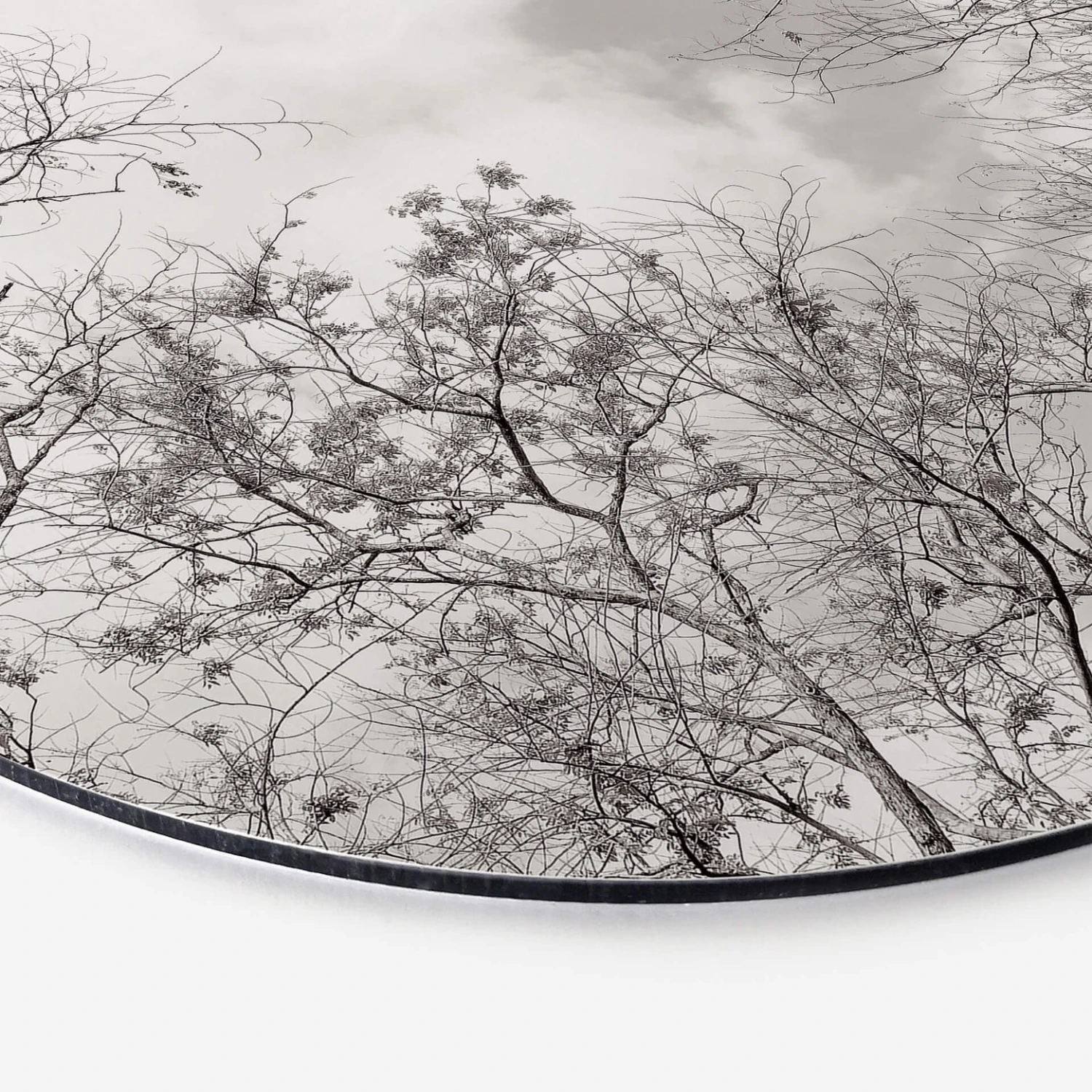 Alu-Dibond Wall Circle Tree Tops High In The Sky - Image 3