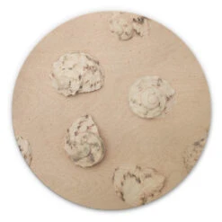 Wall Circle Wood 1X Studio - Beach Shells