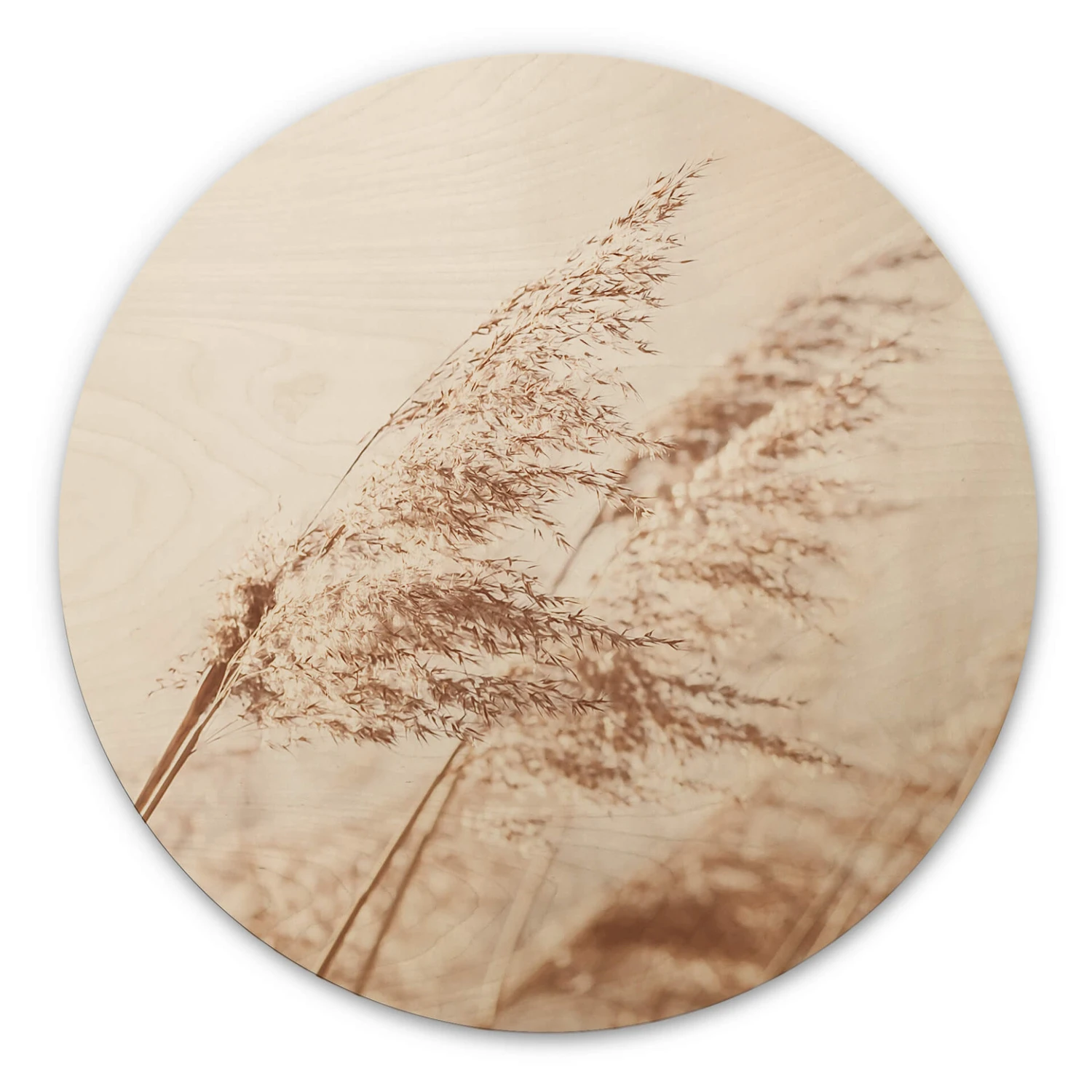 Wall Circle Wood Windy Grass