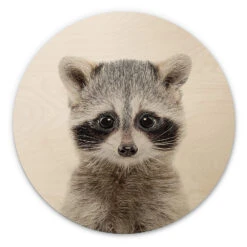 Wall Circle Wood Sisi & Seb - Baby Raccoon