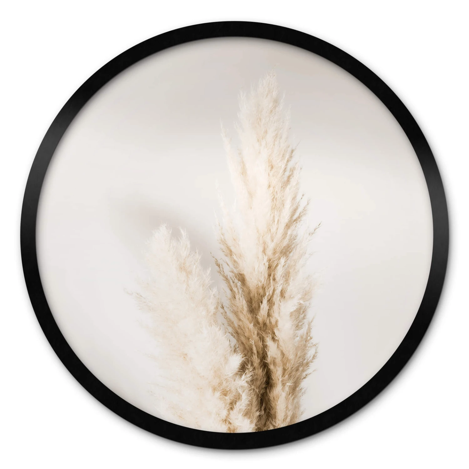 Poster 1X Studio - Pampas