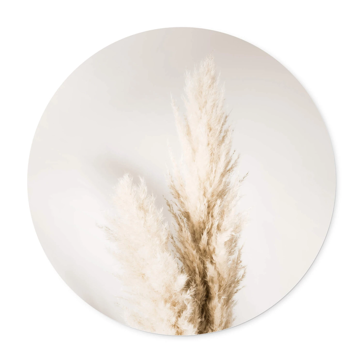 Poster 1X Studio - Pampas - Image 3