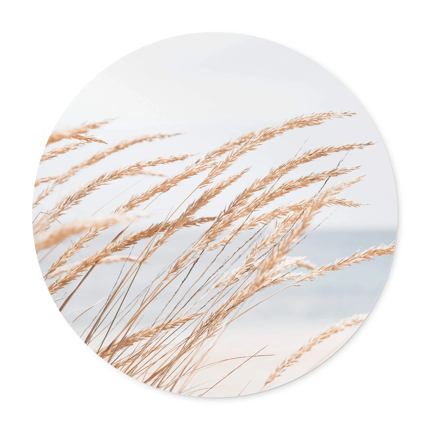 Poster Dune Grass - Image 3