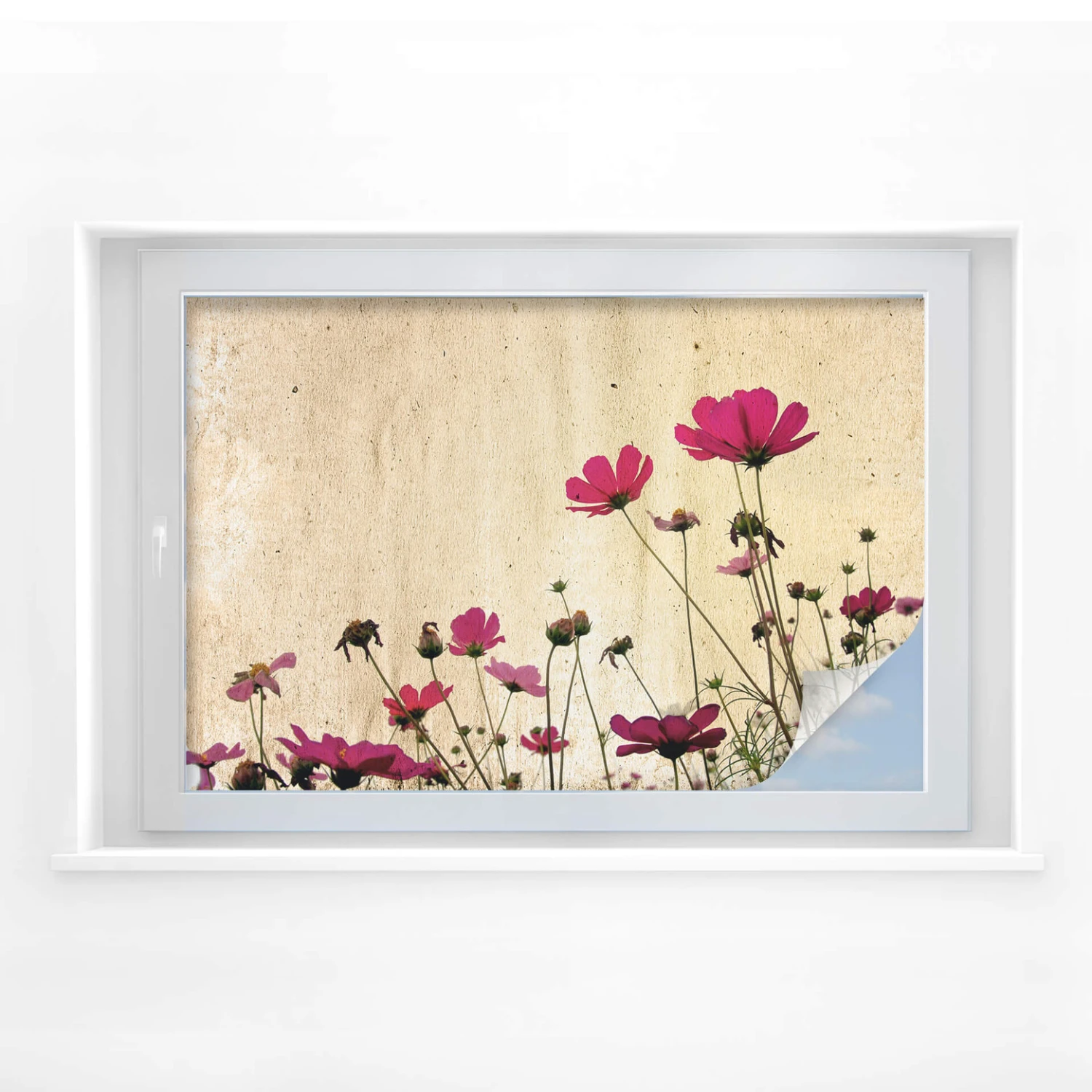 Window Foil Flower Stories