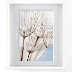 Window Foil Dandelion Close Up