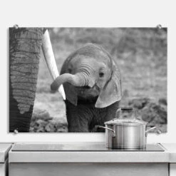 Splashback Alicke - Close To Mom