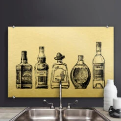 Splashback - 5 Bottles Of Fun