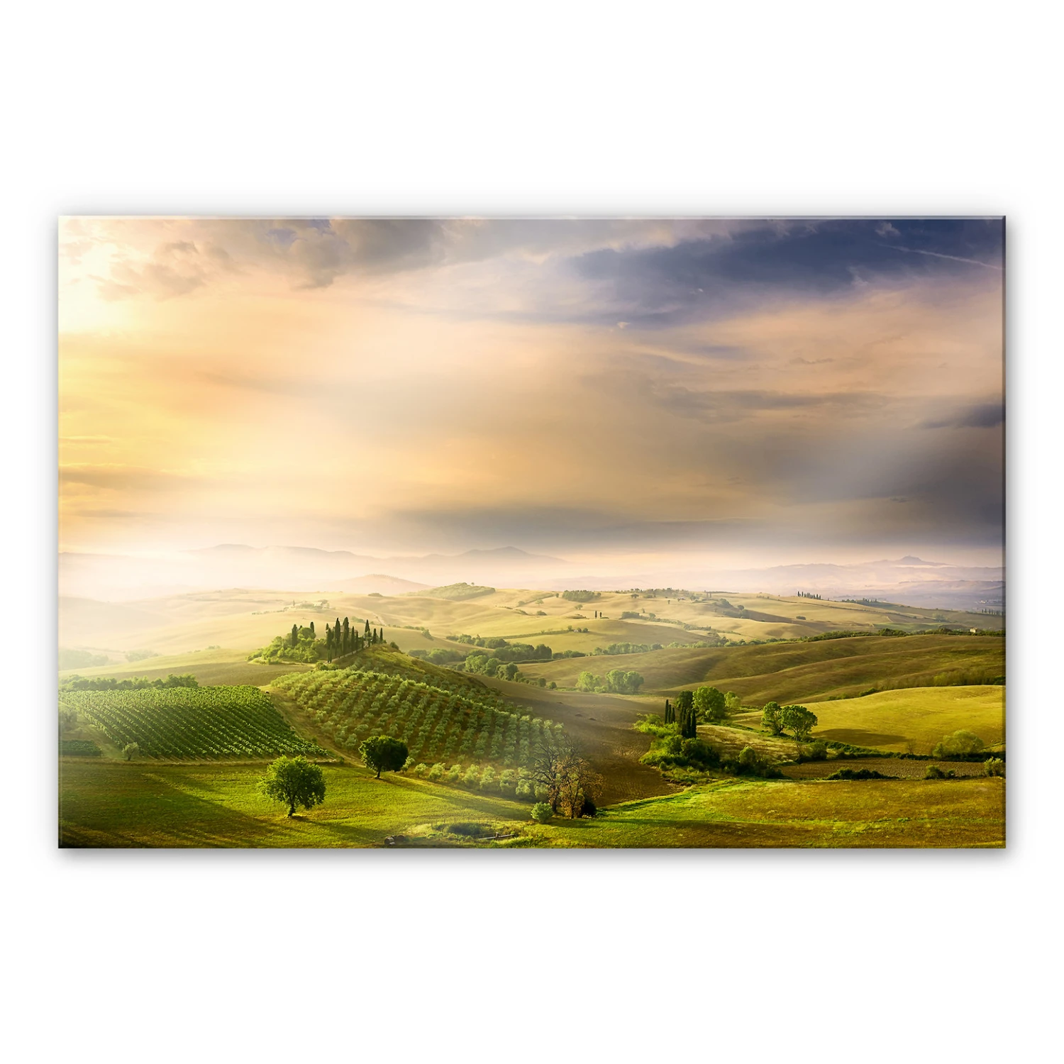 Splashback Bratkovic – Podere Belvedere - Image 2