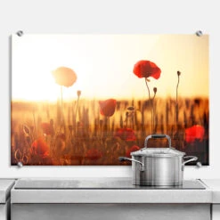Sunny Poppy Field - Kitchen Splashback