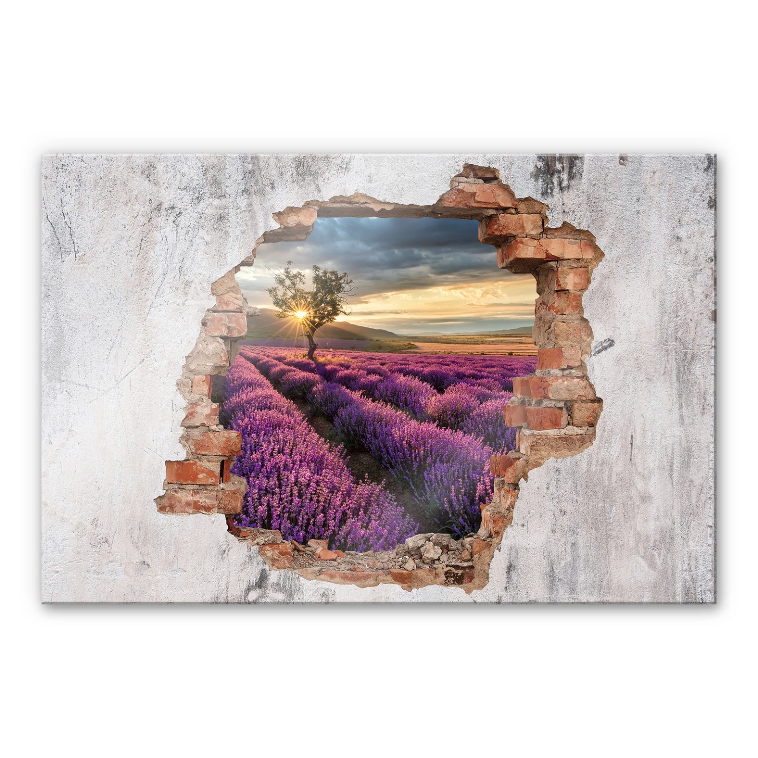 Splashback 3D Optics – Lavender In The Provence - Image 2