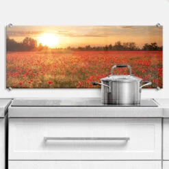 Poppy Field In Sunset - Panorama - Kitchen Splashback