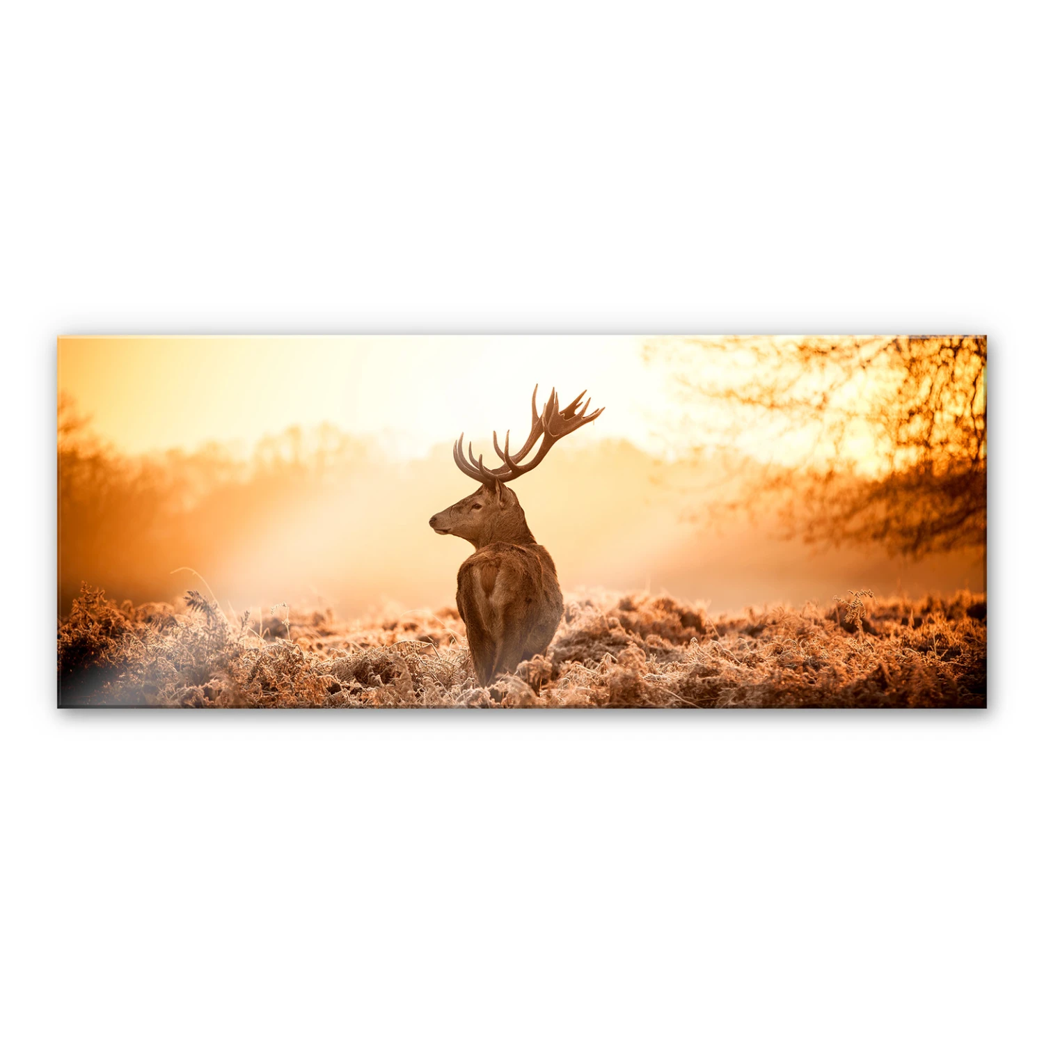 Majestic Deer - Panorama - Kitchen Splashback - Image 2