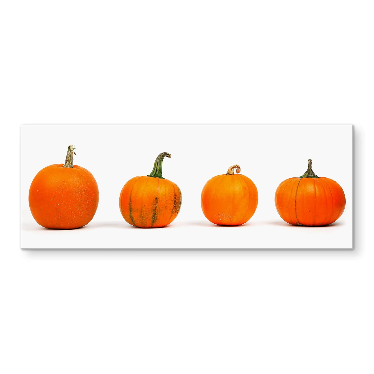 Pumpkins - Panorama Kitchen Splashback - Image 2