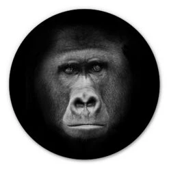 Alu-Dibond Wall Circle Gorilla